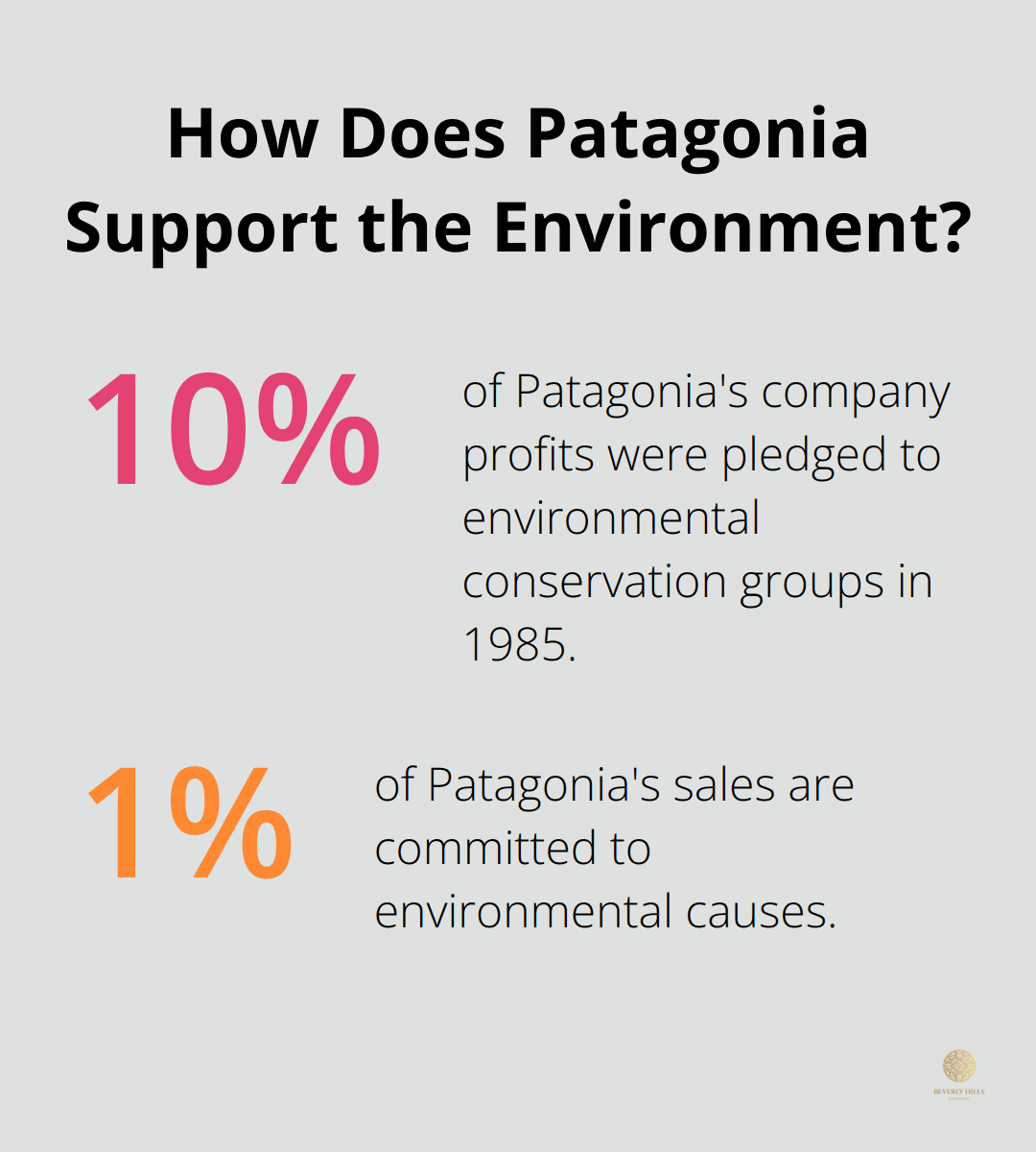 Infographic: How Does Patagonia Support the Environment?